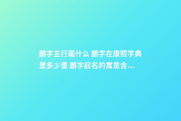 鵬字五行屬什么 鵬字在康熙字典里多少畫 鵬字起名的寓意含義-第1張-公司起名-玄機(jī)派